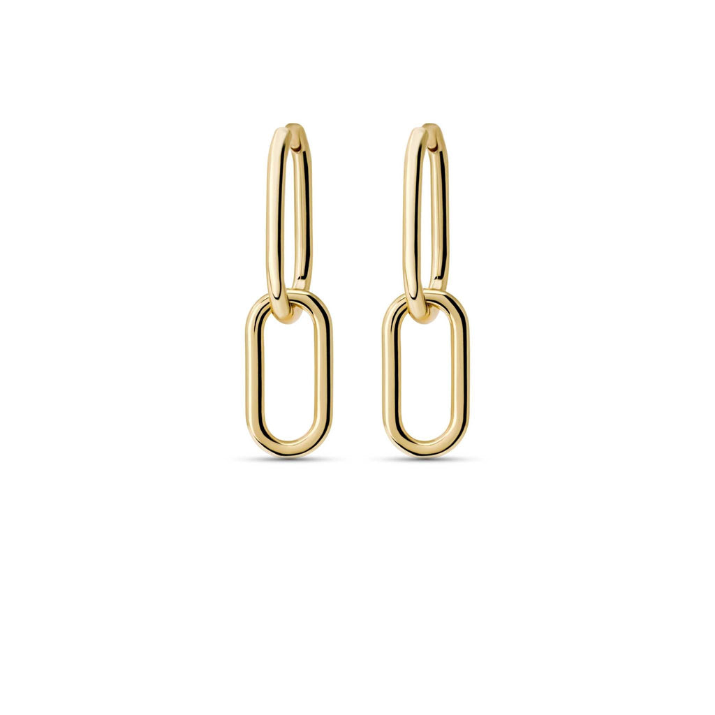 Link Earrings