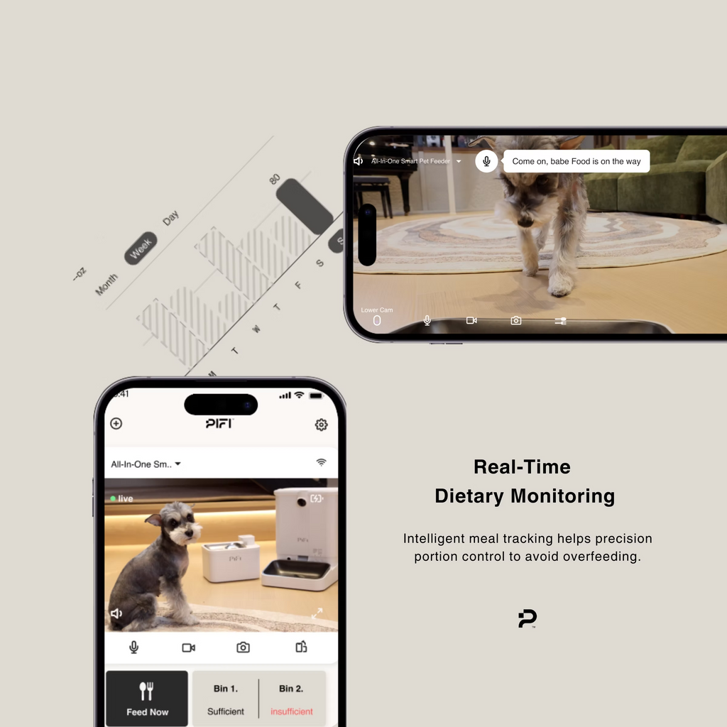 All-in-One Smart Pet Feeder