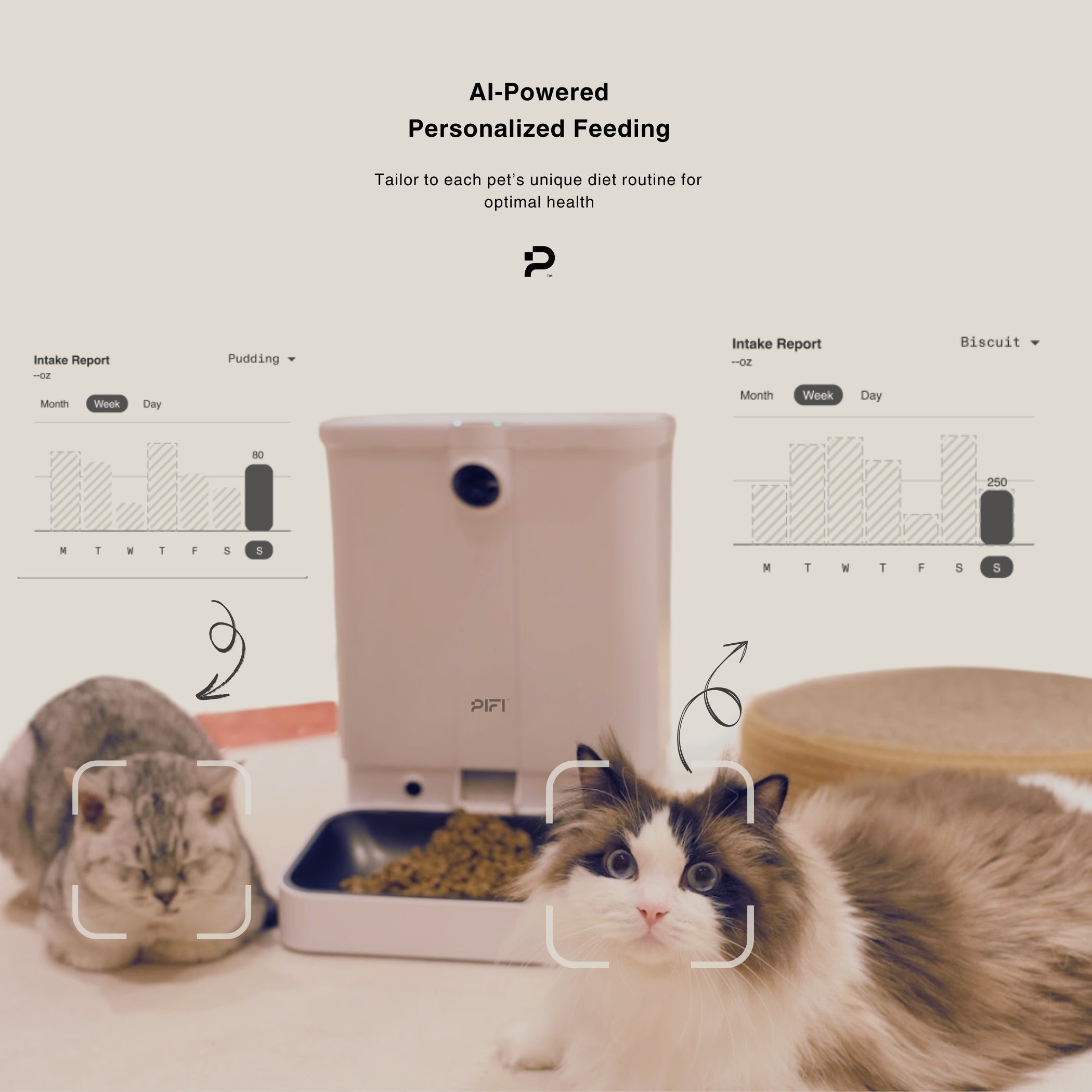 All-in-One Smart Pet Feeder