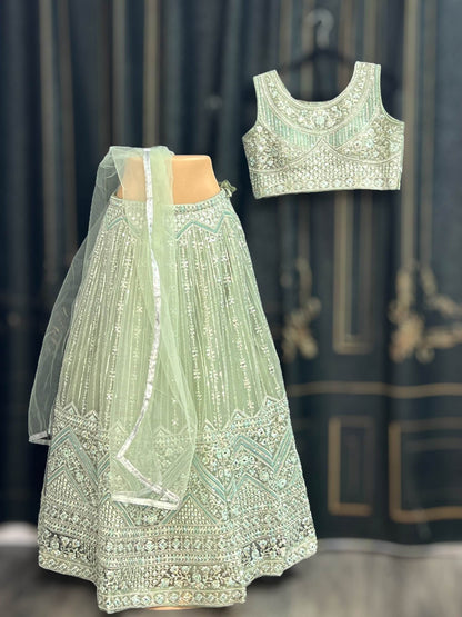 Heavy Lehenga Choli set