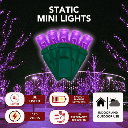 LED Mini Lights 5MM Purple Static Green Wire 6" Spacing