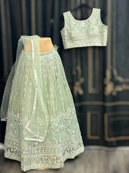 Heavy Lehenga Choli set