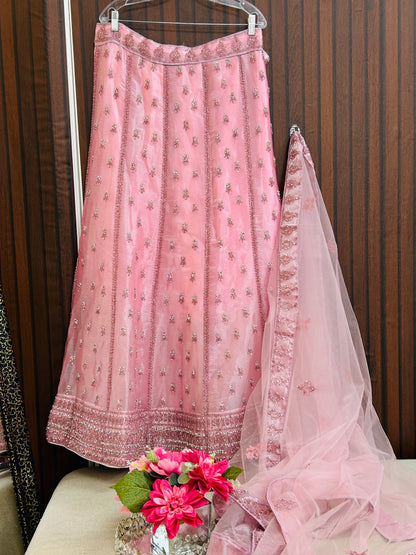 Heavy wedding wear lehenga with dupatta