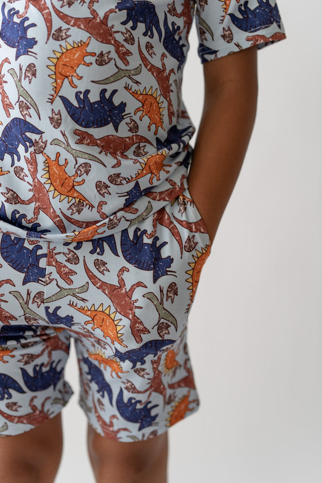 Blue Dino Boys Casual Day Set