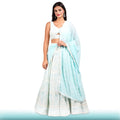 Baby Blue Chikankari Lehenga with a Sexy Blouse