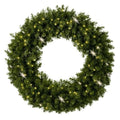 Undecorated Christmas Wreath with Warm White Lights