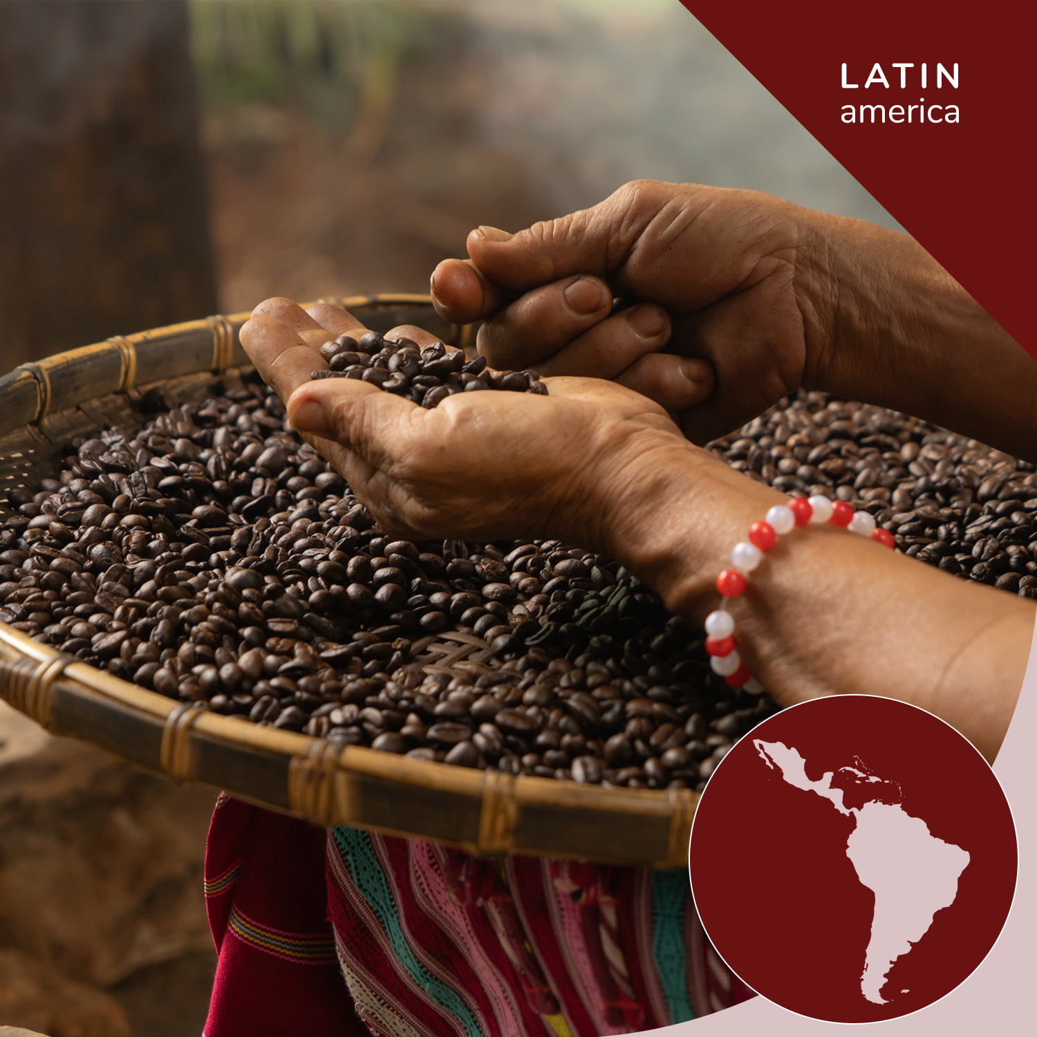 Cuban-Style Espresso Blend, Opaqa Havana Midnight