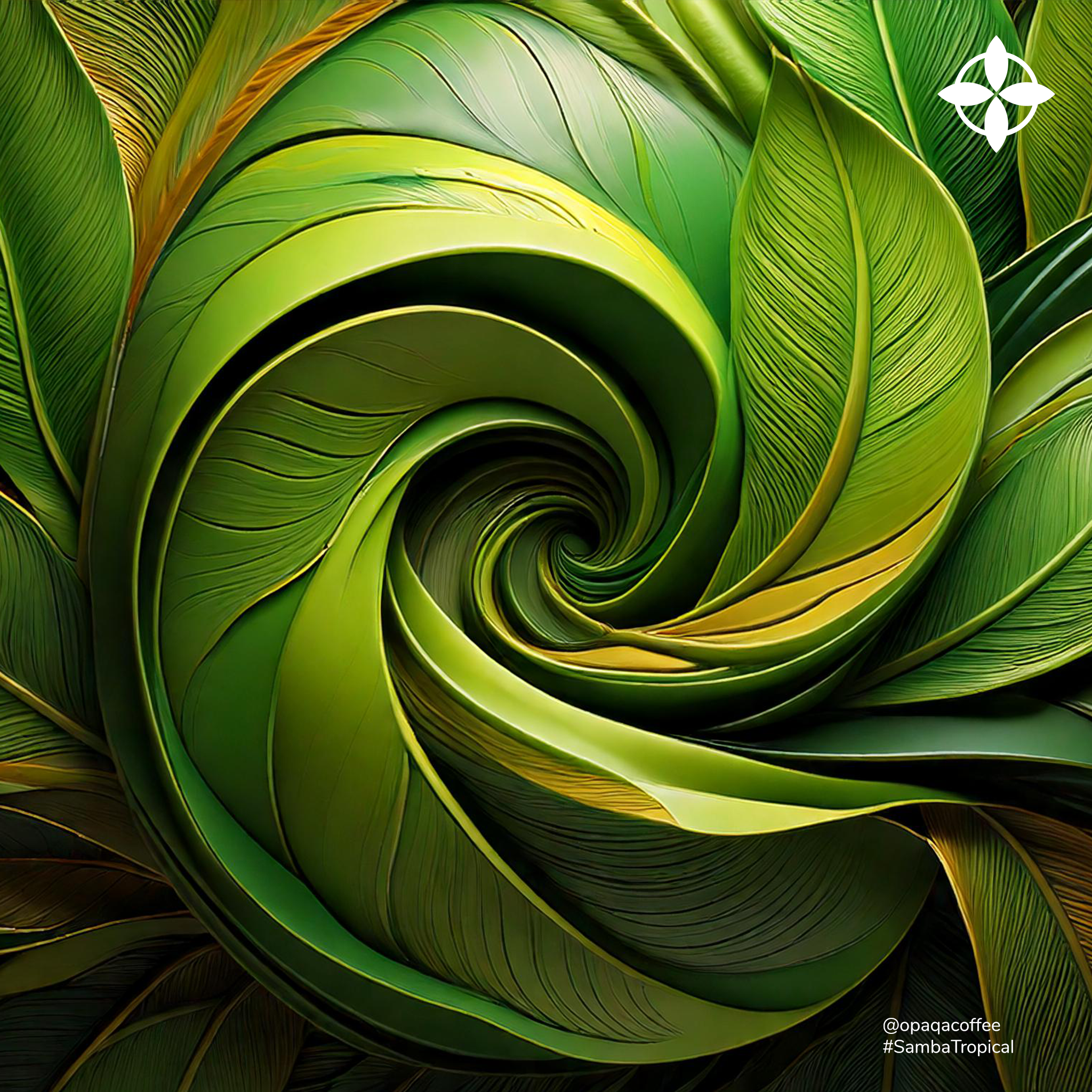 Specialty Brazilian Single Origin Coffee, Opaqa Samba Tropical