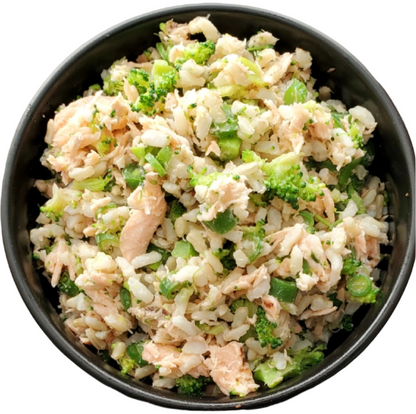Sensational Salmon - Sampler 8 Pack