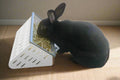 The Open Air Hay Feeder