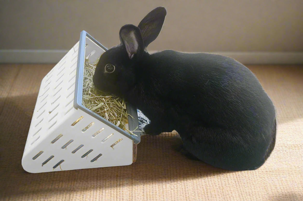 The Open Air Hay Feeder and Hay Roller Bundle