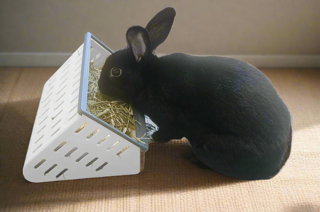 The Open Air Hay Feeder and Hay Roller Bundle