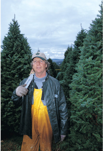 Real Christmas Trees Delivered 6 Foot Premium Fraser Fir