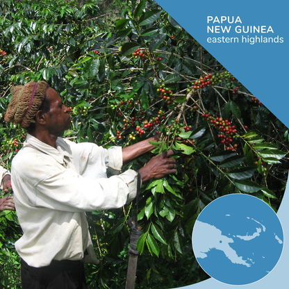 Papua New Guinea Organic Single-Origin Coffee, Opaqa Papua Perfection