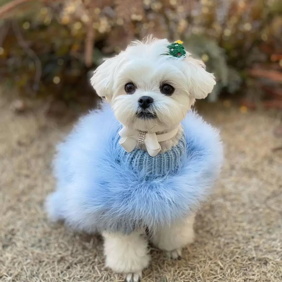 Haute Couture Feathered Luxury Pet Sweater