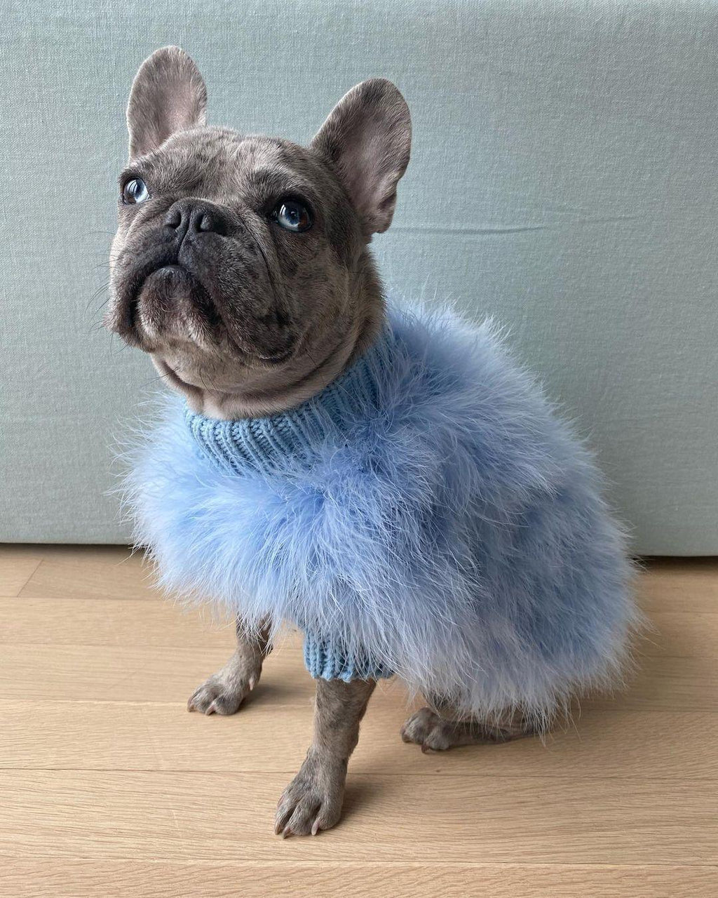 Haute Couture Feathered Luxury Pet Sweater